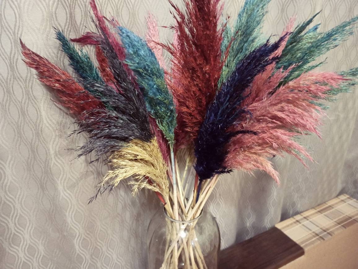 RAINBOW PAMPAS GRASS Mix Multi-color Dried Flower Wedding - Etsy