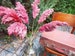PAMPAS GRASS/PINK Color/Wedding Decor/One(1)Stem/Centerpieces/Dry Flowers Bouquet/Floral Arrangement/Boho Wedding/Organic pampas/Table decor 