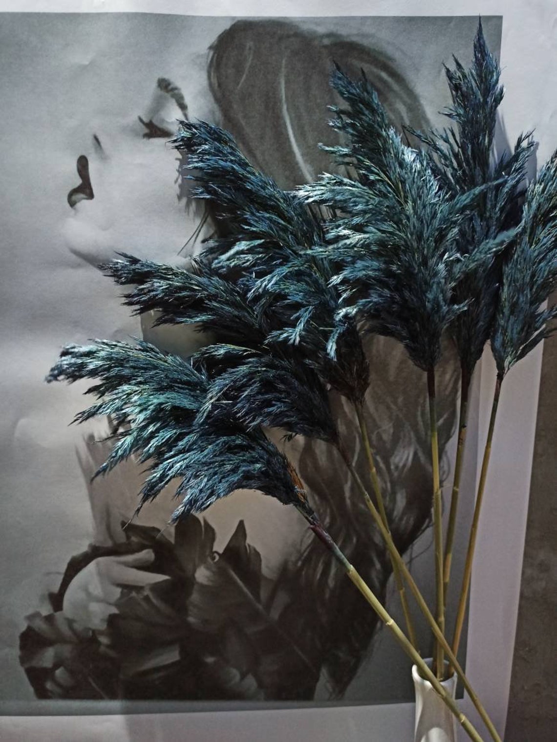 NAVY BLUE Pampas Grass/One1 Stem/Dried Reeds/Dry Etsy