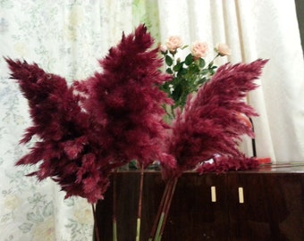 BURGUNDY Large Pampas Grass, Bordo color, Wedding decor,  Dried flowers,  Floral arranging, Tall vase, Natural pampas, Dry flowers bouquet