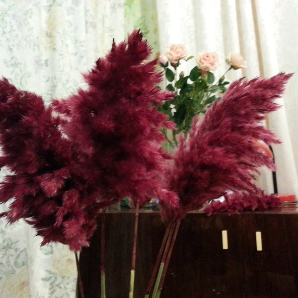 BURGUNDY Large Pampas Grass, Bordo color, Wedding decor,  Dried flowers,  Floral arranging, Tall vase, Natural pampas, Dry flowers bouquet