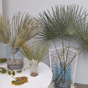 NATURAL DRIED PALM Leaves 3 Stems, Organic Fan Palm Leaf, Dry Palm for Home Decor, Boho Wedding, Floral Arranging, Palms Gift, Beach Party