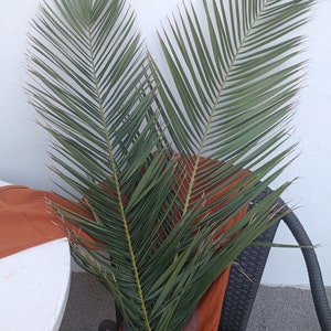 Dried Palm Leaves (2 Stems): 40&quot; Natural Wedding Arch Decor