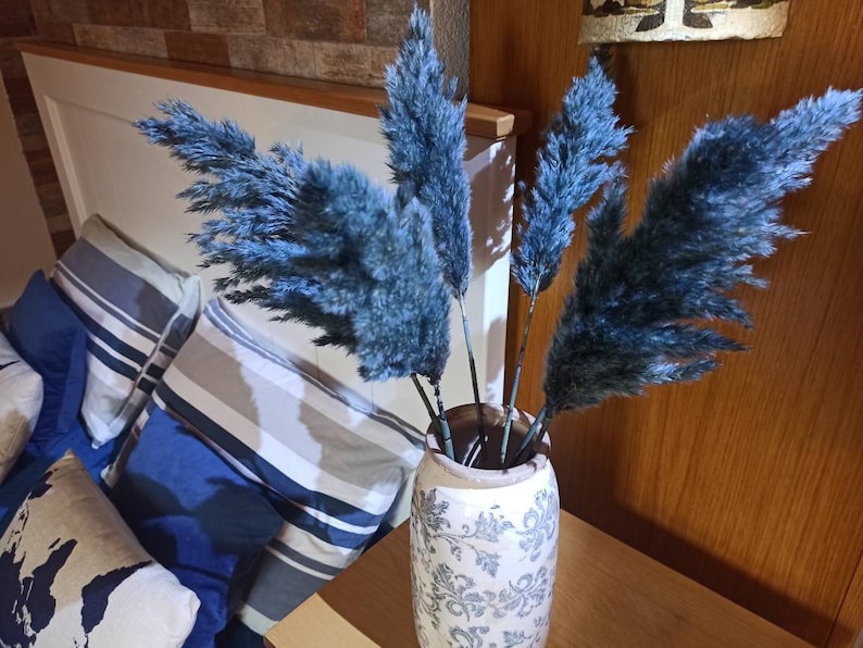 EXTRA NAVY BLUE Colored Pampas Grass/Long Plumes/One 1 Stem Etsy