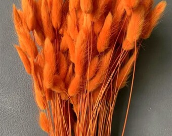 Orange Dried Bunny Tails Bunch (150 PCS): Fall Wedding Decor