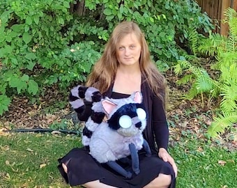 Pattern: Kitty Kit Don't Starve Together (Pattern Only, Detailed Instructions Are Not Available At This Time) Or Jimothy the Raccoon