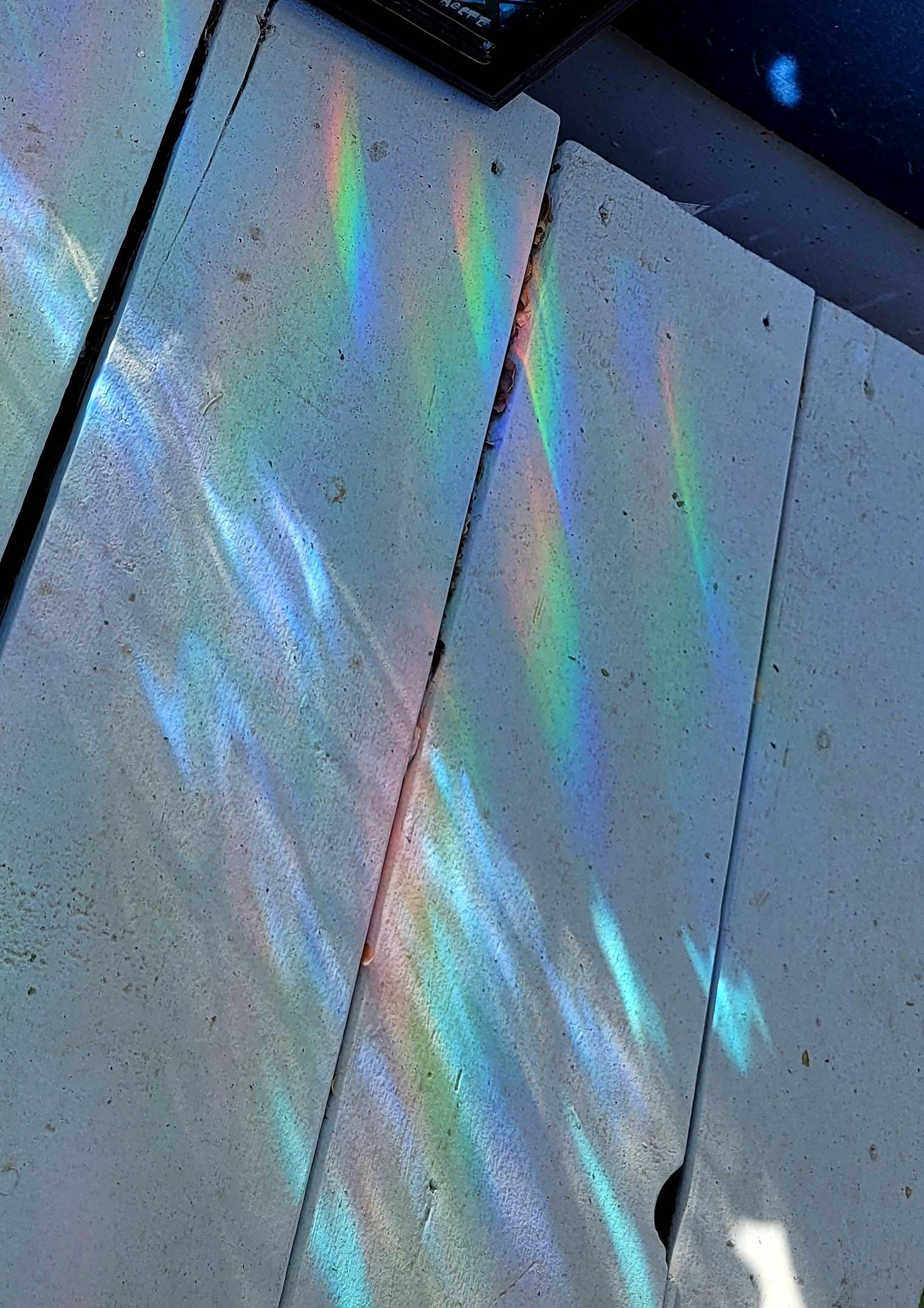 Cuadro Rainbow Zebras - Diamond Dotz - Revesderecho
