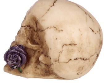 Ancient Wisdom Gothic Skull Decoration with Purple Rose In Mouth Gift Idea | UK