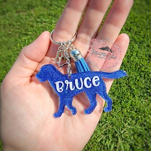 May include: Blue glitter dog silhouette keyring with the name "Bruce" and a blue tassel charm.