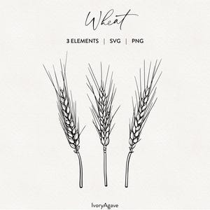 May include: Black and white line art illustration of three wheat stalks. The word "Wheat" is written in cursive at the top, with "3 ELEMENTS | SVG | PNG" below. The IvoryAgave logo is at the bottom.