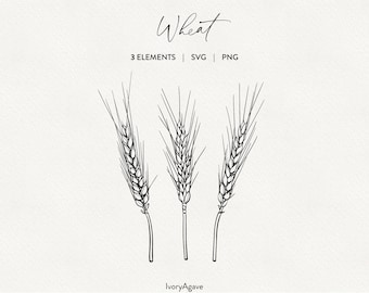 May include: Black and white line art illustration of three wheat stalks. The word "Wheat" is written in cursive at the top, with "3 ELEMENTS | SVG | PNG" below. The IvoryAgave logo is at the bottom.