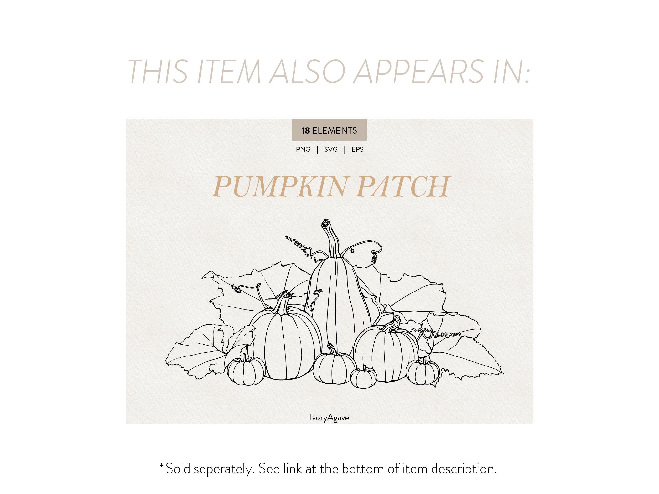Fall Pumpkins Line Art Clipart | Hand Drawn Vector | Autumn Fine Line ...