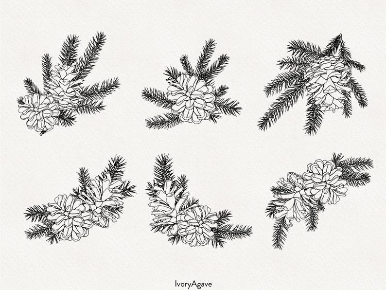 Pine Cones and Spruce Branches Line Art Clipart Graphic | Winter ...