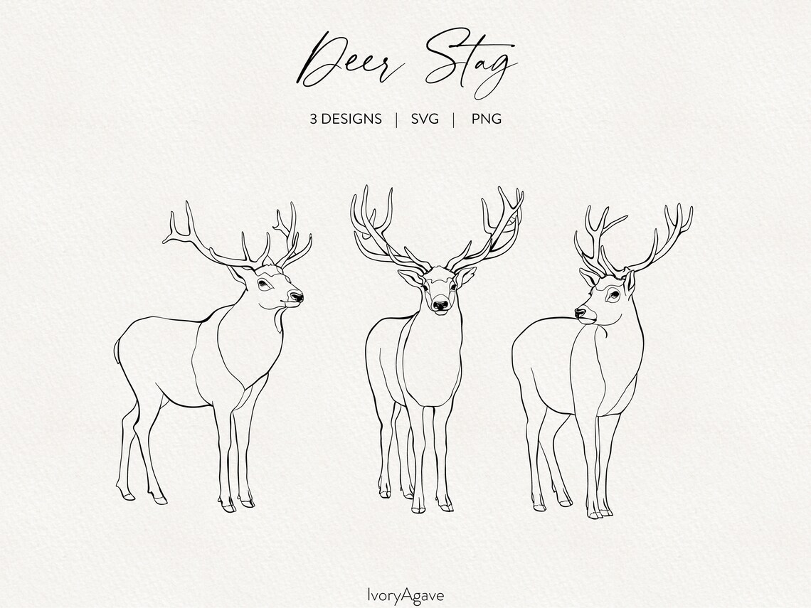 Deer Stag Line Art Clipart Winter Holiday Woodland Animal Hand Drawn ...