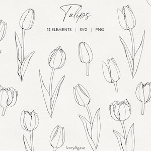 Tulpanblommor Linjekonst Clipart Moderna Vår- Påskblommor Handritad Vektorillustration Fina Linjekonturelement PNG SVG