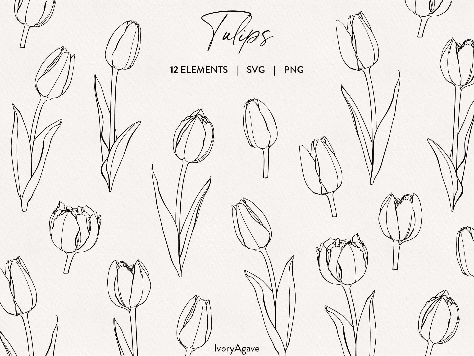 Tulip Flowers Line Art Clipart Modern Spring Easter Florals Hand Drawn  Vector Illustration Fine Line Outline Elements PNG SVG - Etsy Israel, image size:2000x1501