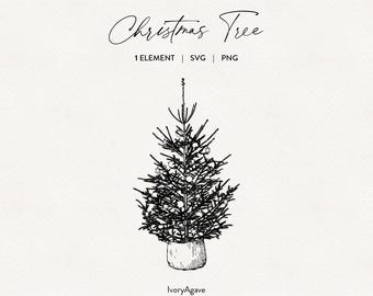 Weihnachtsbaum im Korb – Strichzeichnung (PNG, SVG)