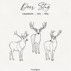 Deer Stag Line Art Clipart | Winter Holiday Woodland Animal Hand Drawn SVG PNG Graphic Element | Minimal Fine Line Outline Art