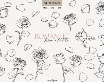 Pétalos de rosa de San Valentín, ilustración lineal, flor botánica dibujada a mano, elemento minimalista, dibujo de contorno de línea fina