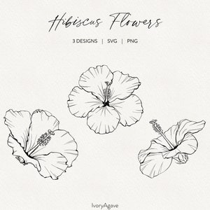 Hibiscus Flowers Line Art Clipart Summer Tropical Botanical Hand Drawn SVG PNG Clipart Minimal Fine Line Outline Art Graphic Illustration