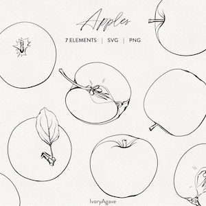 May include: Black and white line art illustration of apples in various forms, including whole, sliced, and with leaves. The word "Apples" is written in a cursive font at the top. The text "7 ELEMENTS | SVG | PNG" is also included.