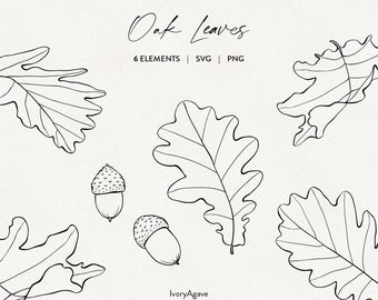Fall Pumpkins Line Art Clipart | Hand Drawn Vector | Autumn Fine Line ...