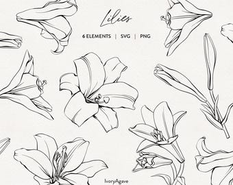 Paasleliebloemen lijntekening clipart: handgetekende illustratie (PNG SVG)