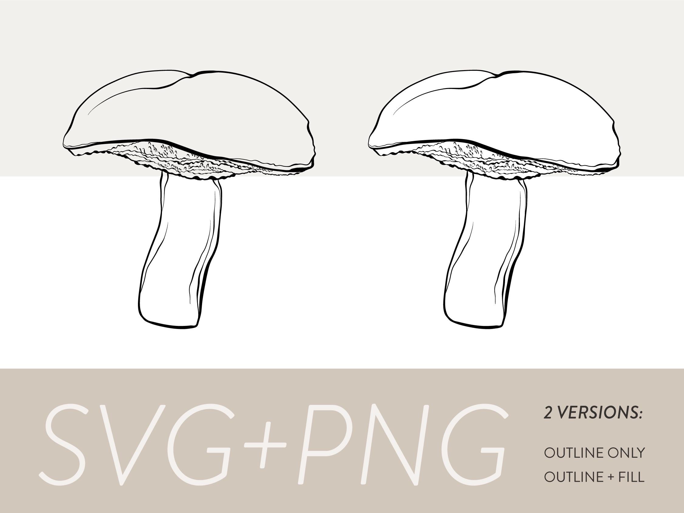 Bolete Mushroom Line Art Drawing Graphics Fall Autumn Fungus Forest ...