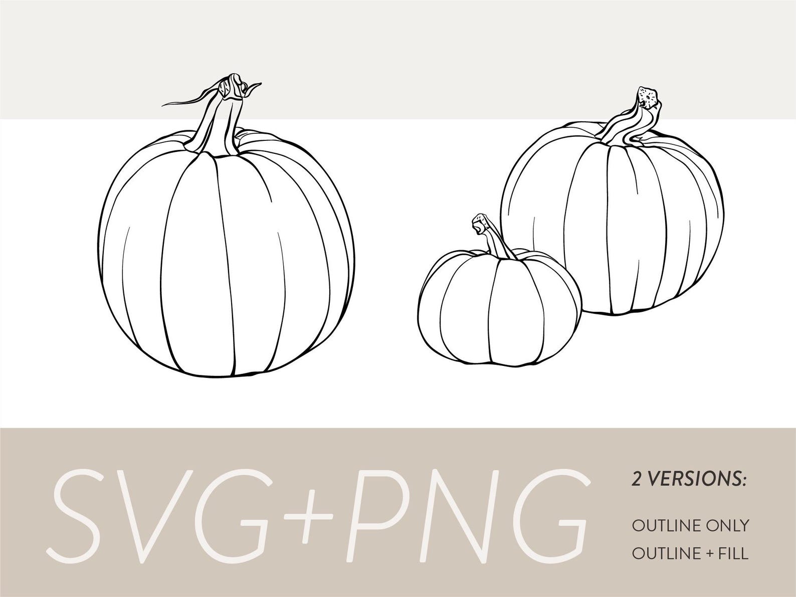 Fall Pumpkin Patch Line Art Clipart | Autumn Pumpkins Vines Leaves Hand ...