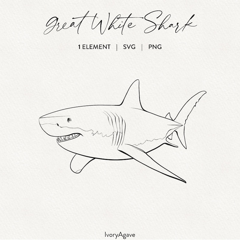 Great White Shark Outline Etsy