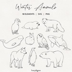 Puede incluir: Ilustración en blanco y negro de animales de invierno, incluyendo un frailecillo, una foca, un zorro ártico, una beluga, un conejo, un búho, una orca, un lobo, un pingüino y un oso polar. El texto "Winter Animals" está en la parte superior.