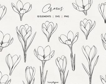 Krokusbloemen Lijntekening Clipart: Handgetekende Illustratie (PNG SVG)