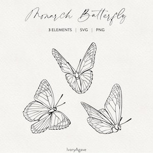 Monarch Butterflies Line Art Illustration Modern Graphic Spring Insect Animal Hand Drawn Vector Fine Line Outline Clipart Elements PNG SVG