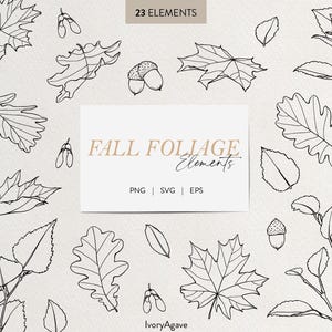 Fall Foliage Oak Birch Maple Leaves Line Art Clipart | Autumn Leaves Hand Drawn Vector | Fine Line Outline Elements | Drawing Illustration