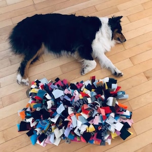 DIY snuffle mat and lick mat (from the Dollar store) that my cat