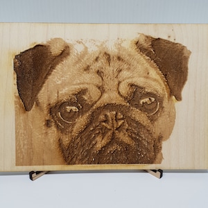 Your Pet Portrait here! Bruce the Pug - Pet portrait, laser engraved, photo on wood, maple. cute gift. Laser engraved Pet portrait