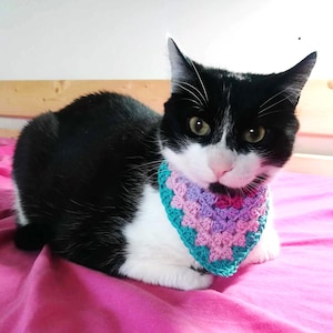Extra kleine haak huisdier bandana, huisdier accessoires, hond bandana, huisdier dassen, handgemaakt, op maat, gehaakte accessoires, dassen