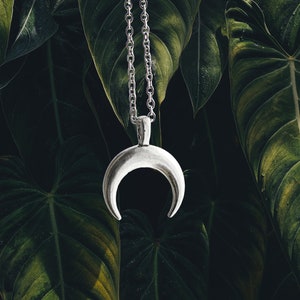 Crescent Moon Necklace