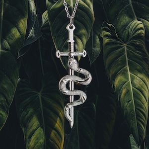 May include: A silver pendant necklace featuring a sword with a snake wrapped around it. The pendant is hanging against a backdrop of lush green foliage.