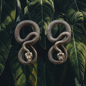 Snake Ear Weights (20mm+)