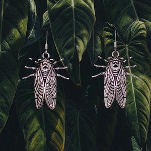 Cicada Insect Earrings: Entomology, Spooky, Gothic, Alternative, Cute, Sterling Silver Hooks