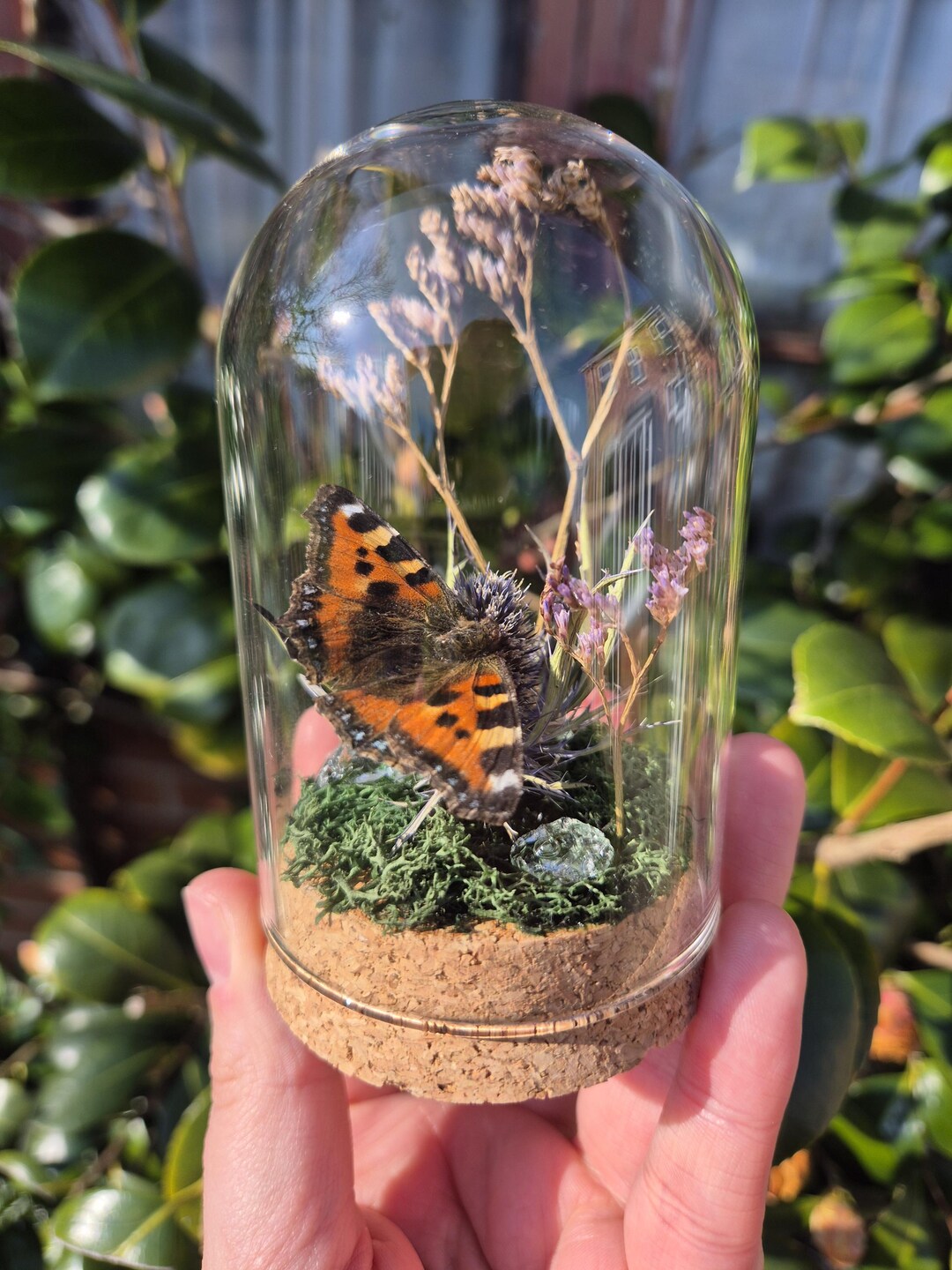 Tortoiseshell Butterfly Dome, Floral Display, Crystal, Witchy Decor - Etsy