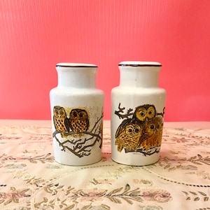 Vintage 1970s Owl Salt & Pepper Shakers