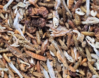 Fishin' Bait - Protein Essentials for Land Hermit Crabs