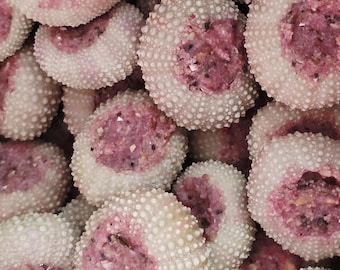 Strawberry Stuffed Sea Urchin - Long Lasting Treat for Land Hermit Crabs