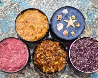 The ORIGINAL Tallow Tins-Meal Essentials for Land Hermit Crabs