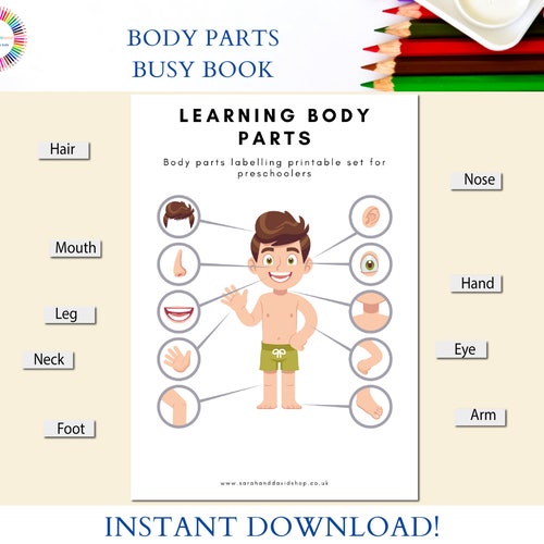 body parts preschool worksheets busy book body parts etsy