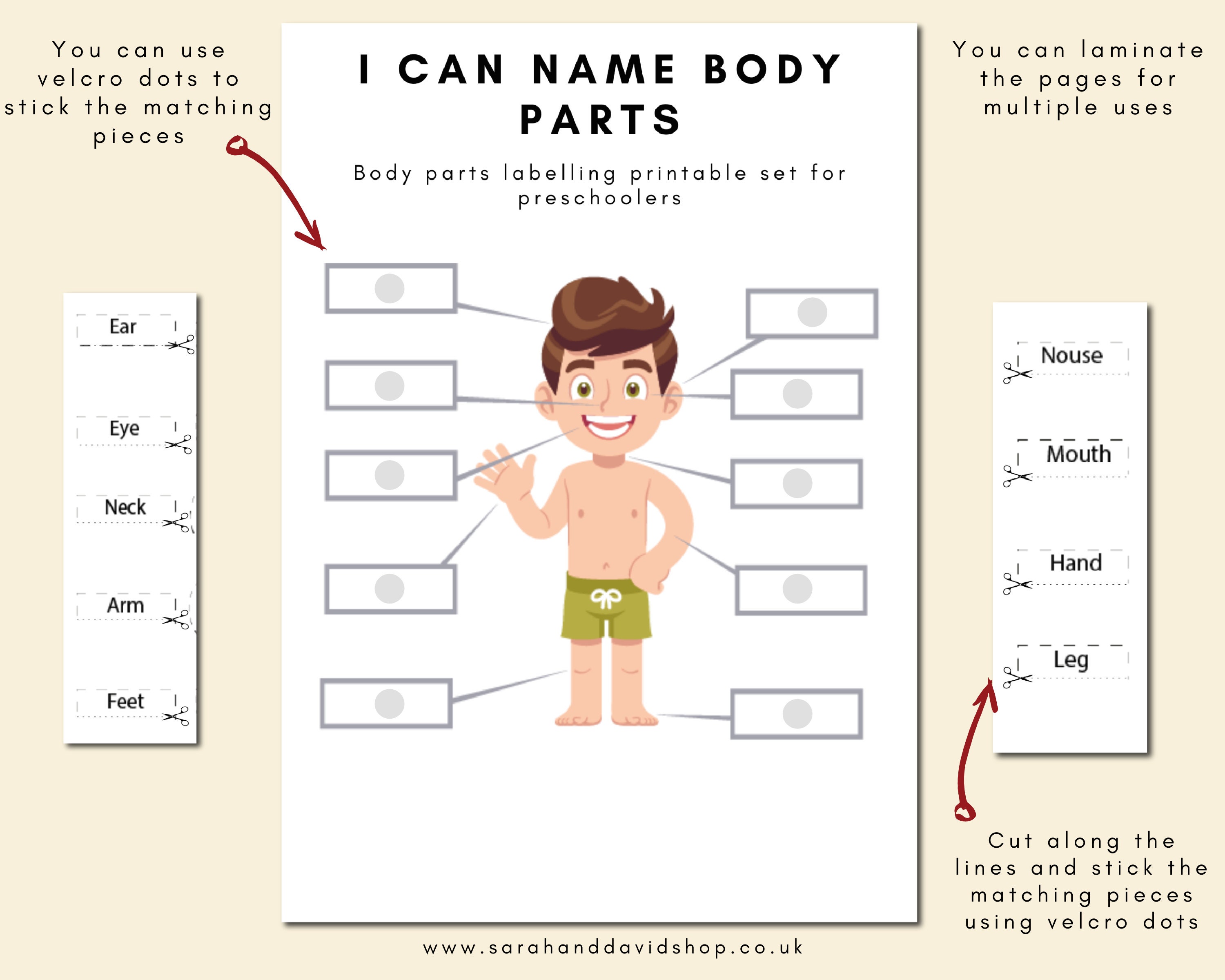 body parts preschool worksheets learning body parts busy etsy