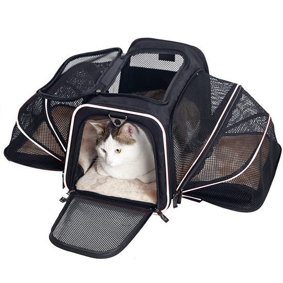 CenKinfo Airline Approved Small Dog Carrier, 2 Sides Expandable Cat Carrier  with Fleece Pad TSA Approved Soft Sided Pet Travel Carrier for Kittens and