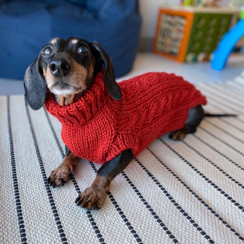 100 Handmade Handknitted Dog Sweater for 1014lb Custom Made Etsy